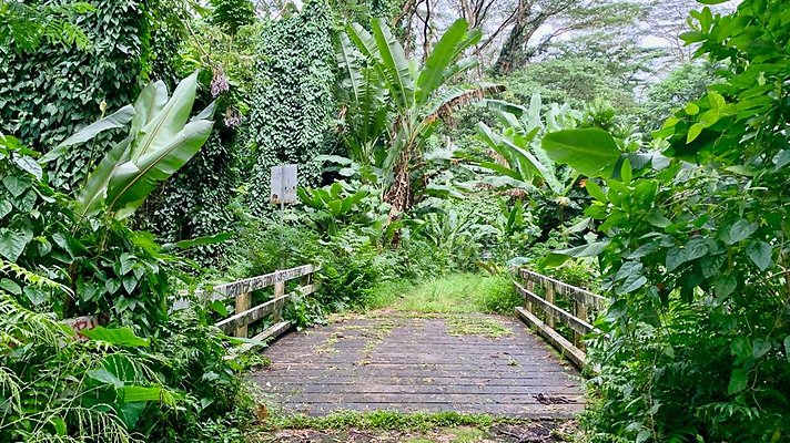 th 2019-10-11 16-58-57-1000