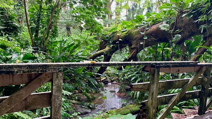 th 2019-10-11 17-06-13-1000