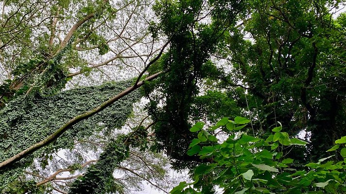 th 2019-10-11 16-55-37-1000