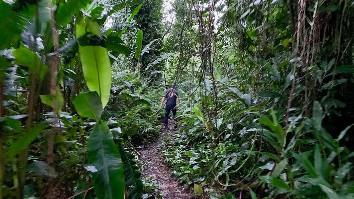 th 2019-10-11 17-09-39-1000