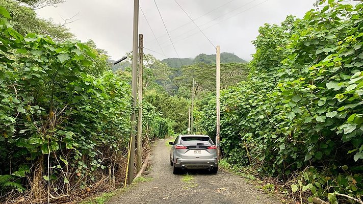 th 2019-10-11 16-52-35-1000