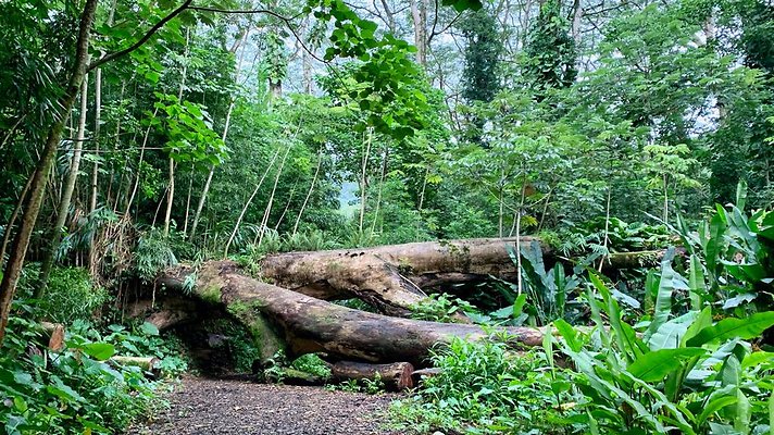 th 2019-10-11 17-07-21-1000