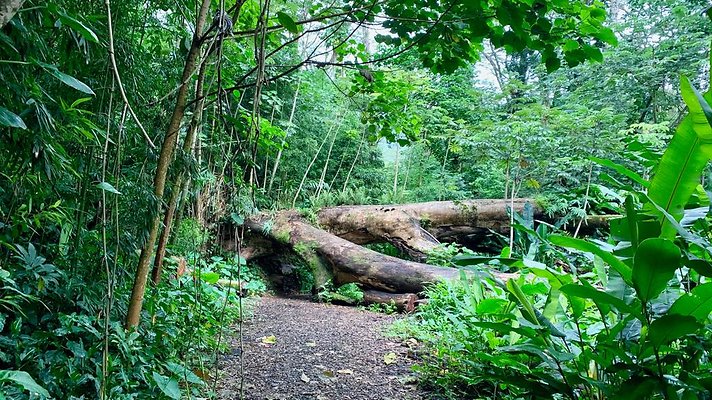 th 2019-10-11 17-03-35-1000