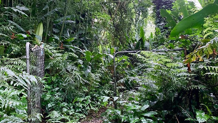 th 2019-10-11 17-10-18-1000