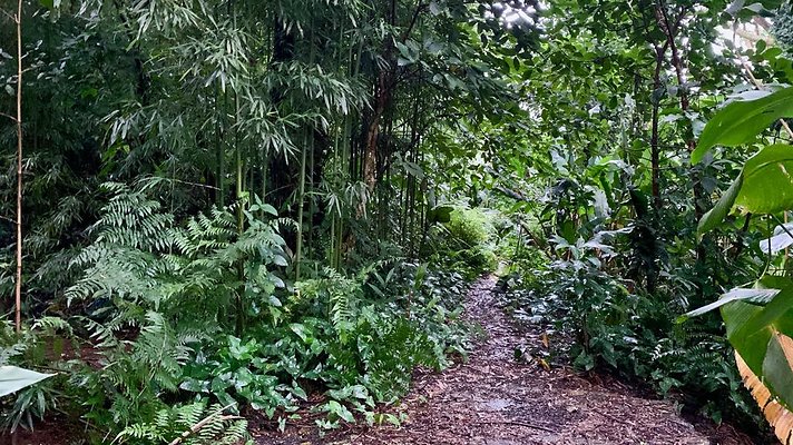 th 2019-10-11 17-10-57-1000