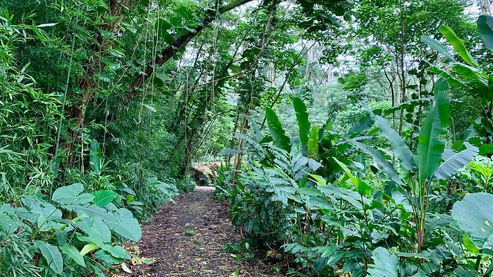 th 2019-10-11 17-03-02-1000