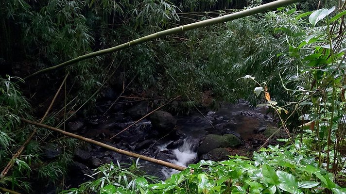 th 2019-10-11 17-17-40-1000