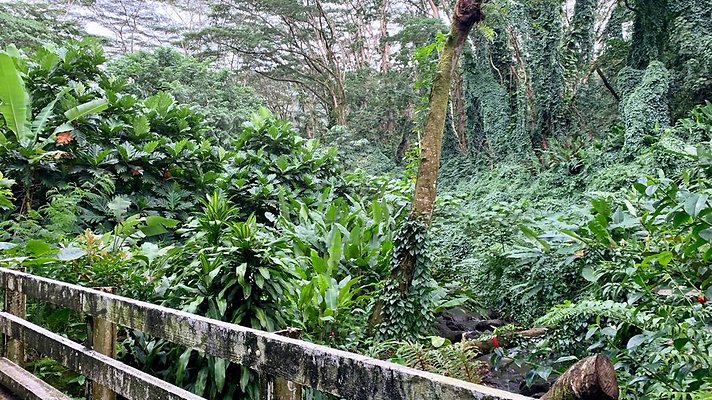 th 2019-10-11 16-59-18-1000