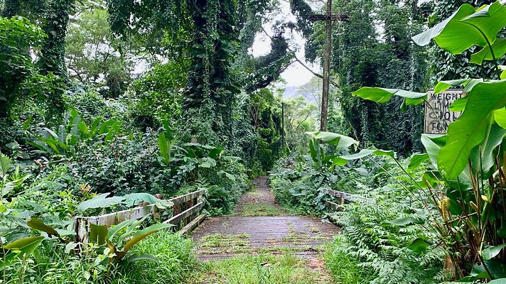 th 2019-10-11 16-58-29-1000