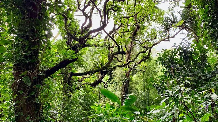 th 2019-10-11 17-15-11-1000