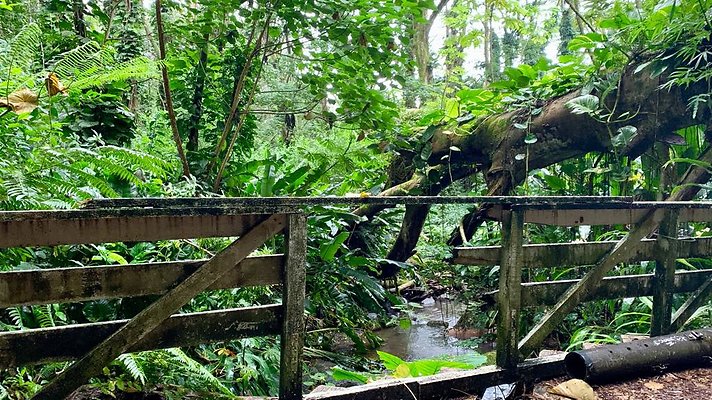 th 2019-10-11 17-06-24-1000