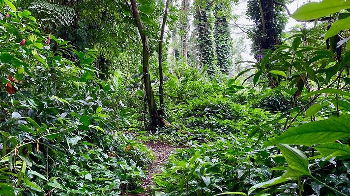 th 2019-10-11 17-15-28-1000