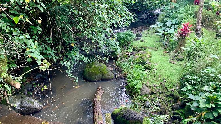 th 2019-10-11 16-51-58-1000