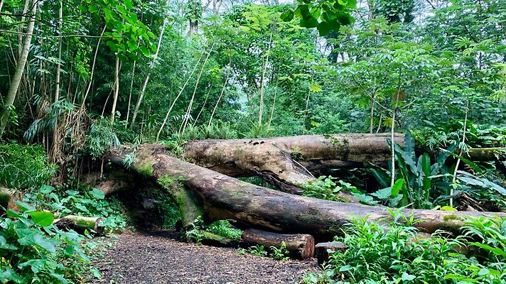 th 2019-10-11 17-03-59-1000