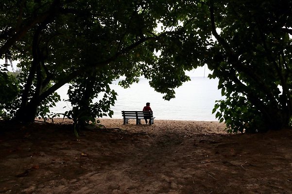 th Kawela Bay Banyan Tree   785