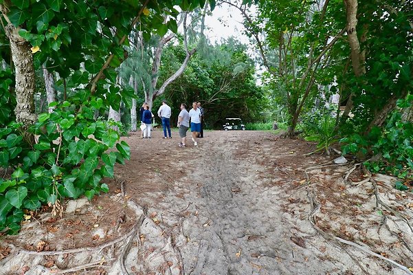 th Kawela Bay Banyan Tree   790