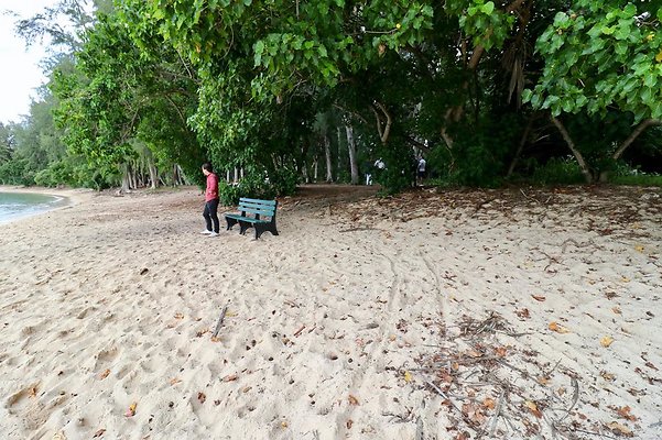 th Kawela Bay Banyan Tree   789