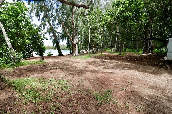 th Kawela Bay Banyan Tree   767