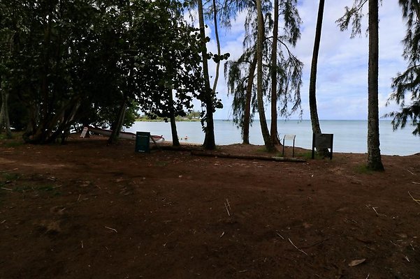 th Kawela Bay Banyan Tree   735