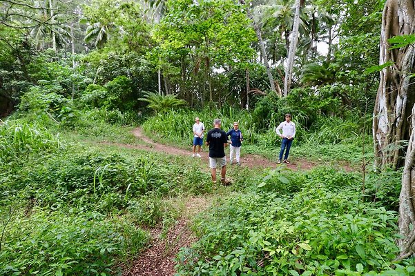 th Kawela Bay Banyan Tree   826