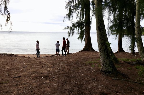 th Kawela Bay Banyan Tree   804