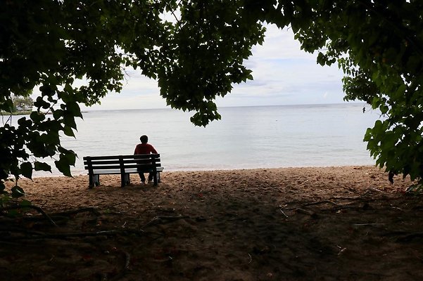 th Kawela Bay Banyan Tree   786