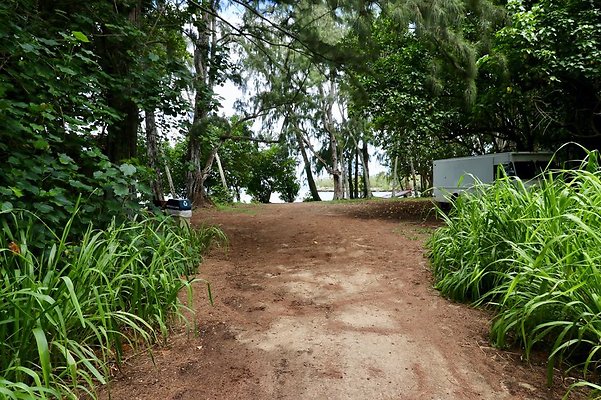 th Kawela Bay Banyan Tree   763