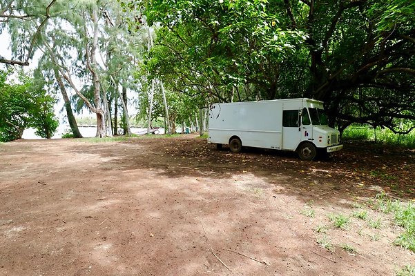 th Kawela Bay Banyan Tree   766