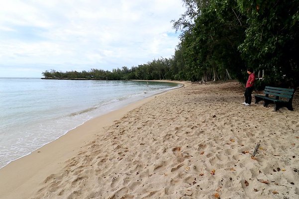 th Kawela Bay Banyan Tree   788