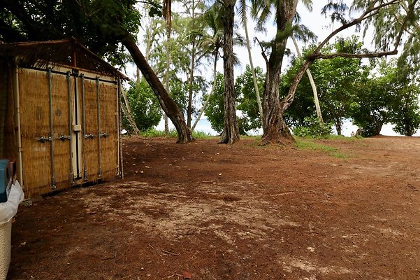 th Kawela Bay Banyan Tree   764