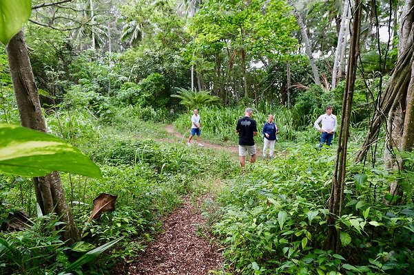 th Kawela Bay Banyan Tree   824