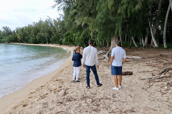 th Kawela Bay Banyan Tree   792