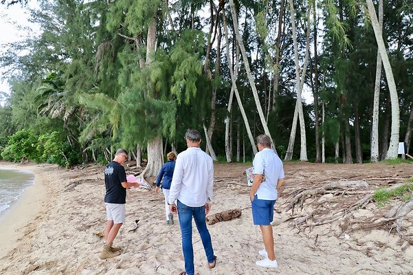 th Kawela Bay Banyan Tree   793