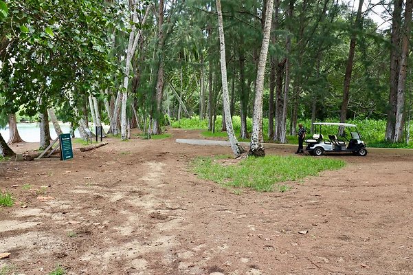 th Kawela Bay Banyan Tree   740