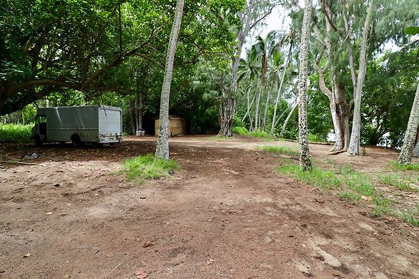 th Kawela Bay Banyan Tree   737