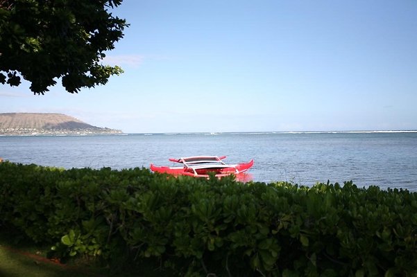 th th AINAHAINA CASSIDAY 6776