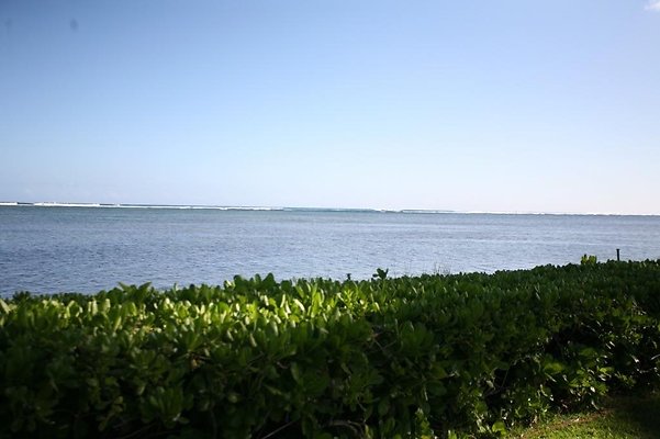 th th AINAHAINA CASSIDAY 6774