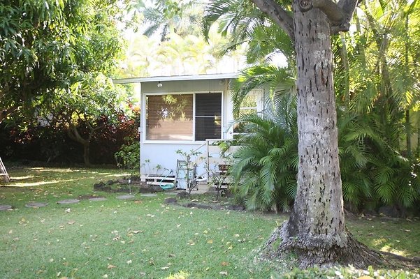 th th AINAHAINA CASSIDAY 6704