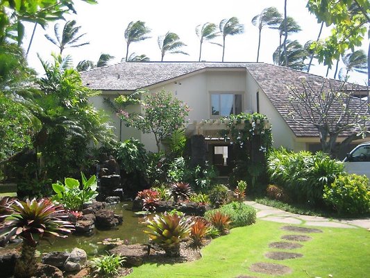 HI50 S5 Kahala Mini Kahala Mini 2 (18)