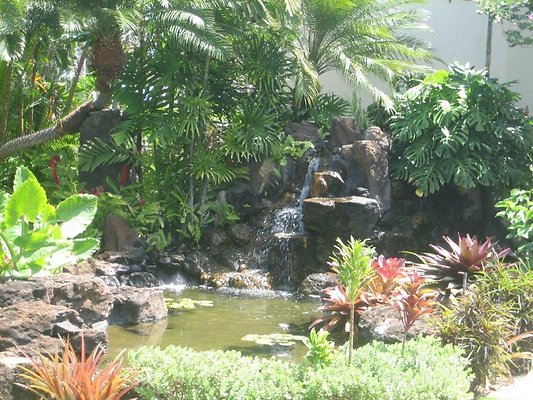 HI50 S5 Kahala Mini Kahala Mini 2 (19)