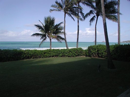 HI50 S5 Kailua Oahulani Oahulani (26)