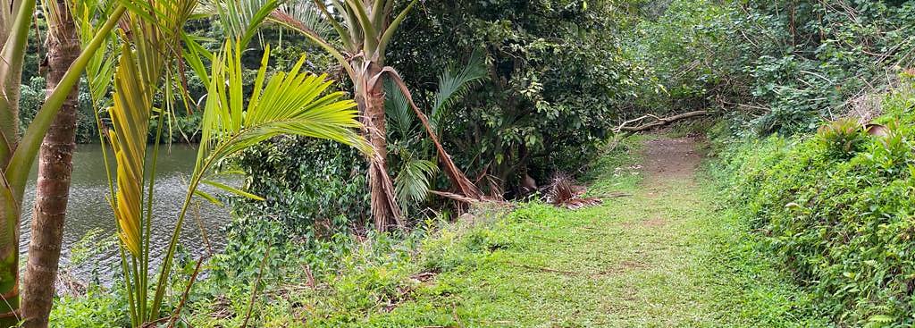 th IMG 2748 IMG 2750