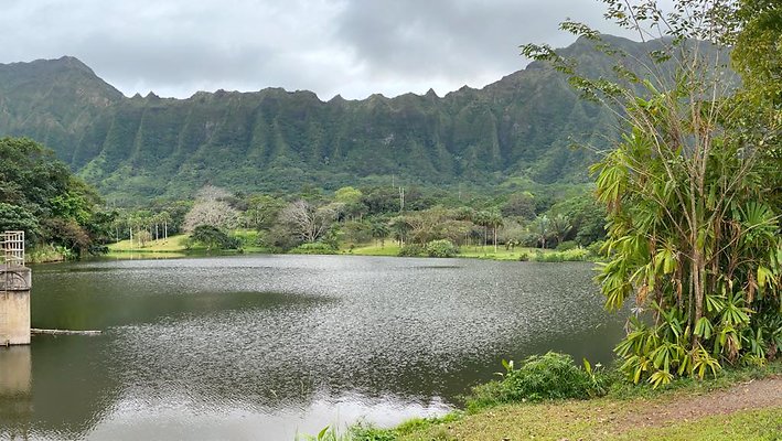 th IMG 3444 IMG 3455