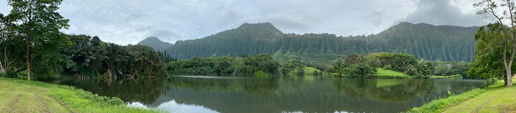 th IMG 3342 IMG 3345