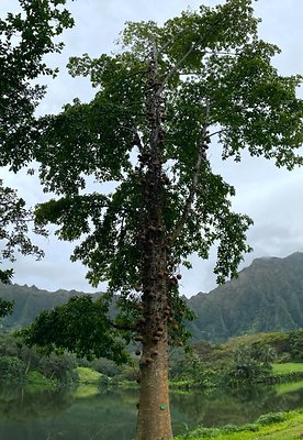 th IMG 3249 IMG 3250