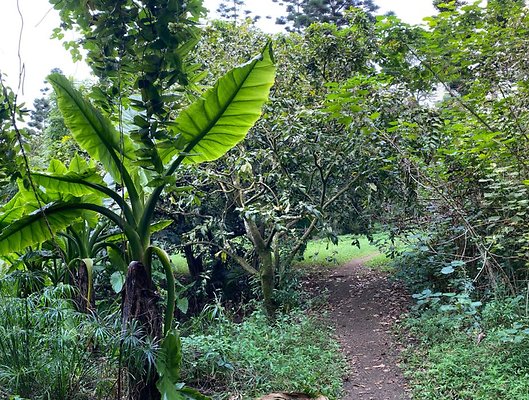 th IMG 2612 IMG 2617