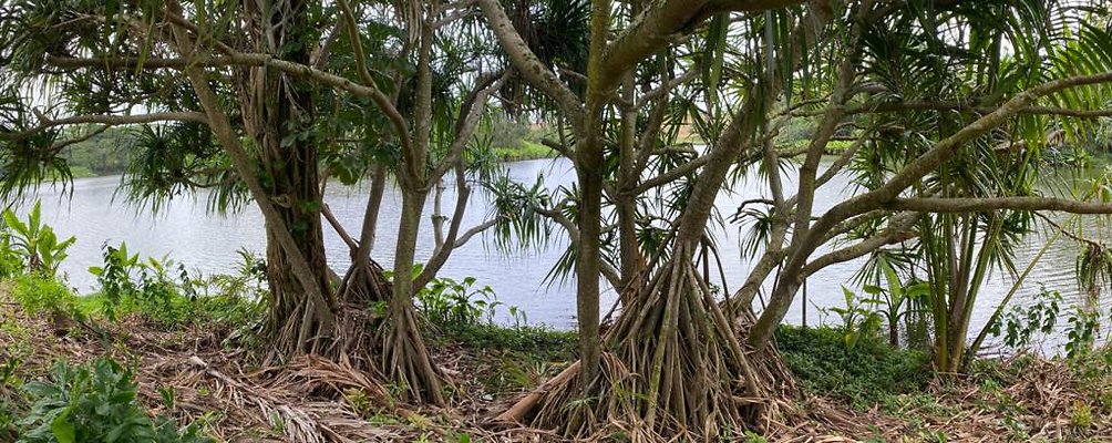 th IMG 2757 IMG 2760