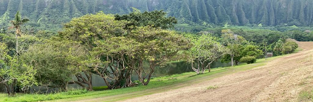 th IMG 2993 IMG 2996