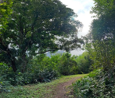 th IMG 2479 IMG 2484