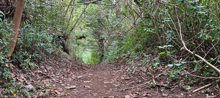 th IMG 2532 IMG 2535